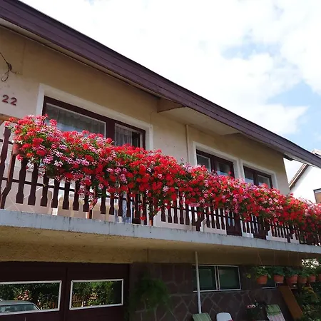 Guest house Lonci Neni Haza